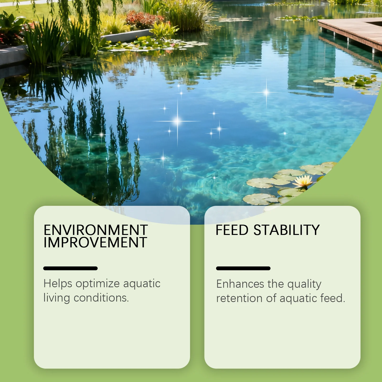 Mixed Feed Additive Powder for Aquaculture - Growth & Stability Formula 5 aquatic feed additive powder spu988677708198 desc 5