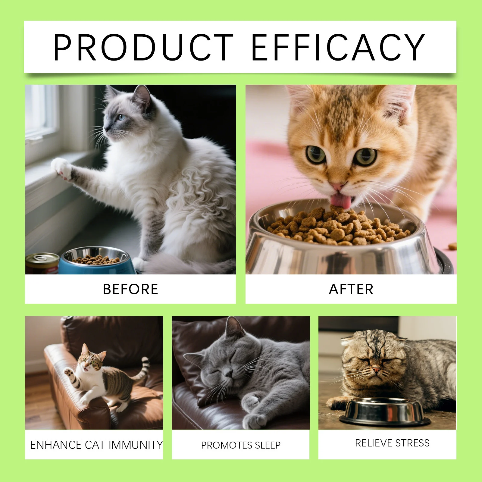 3-in-1 Probiotic Drops for Cats - Digestive & Immune Support 11 cat probiotic drops spu987601236500 desc 11