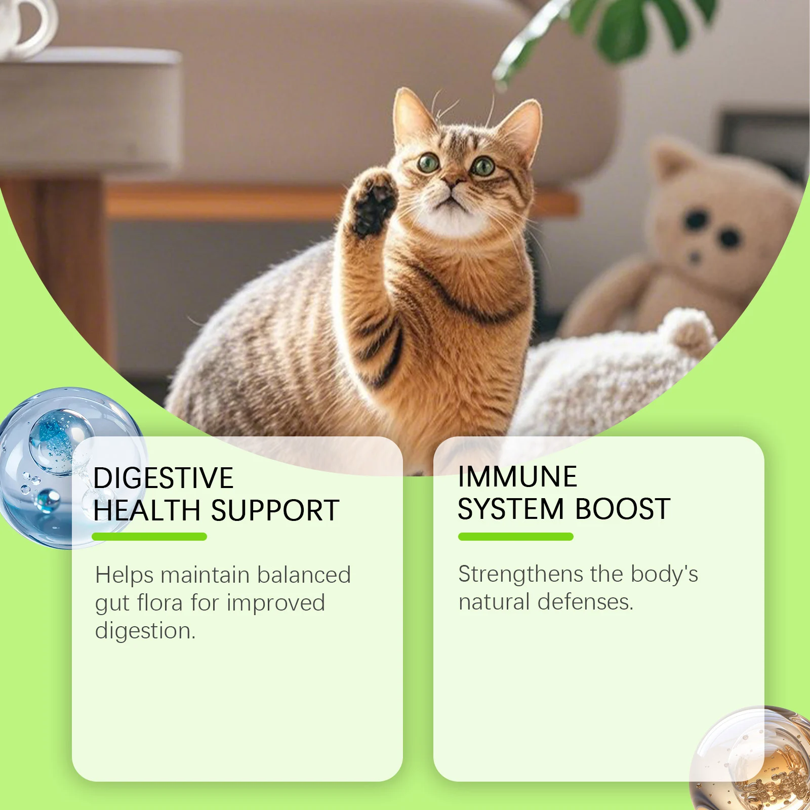 3-in-1 Probiotic Drops for Cats - Digestive & Immune Support 5 cat probiotic drops spu987601236500 desc 5