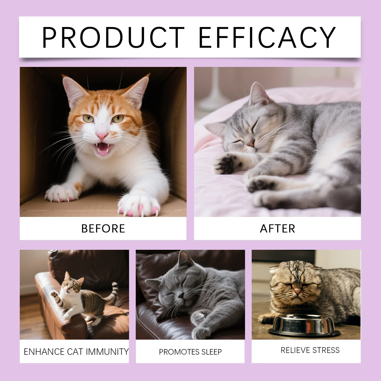 Melatonin Sleep Support Drops for Cats - Calming & Anxiety Relief Supplement 11 cat sleep support drops spu973061106717 desc 11