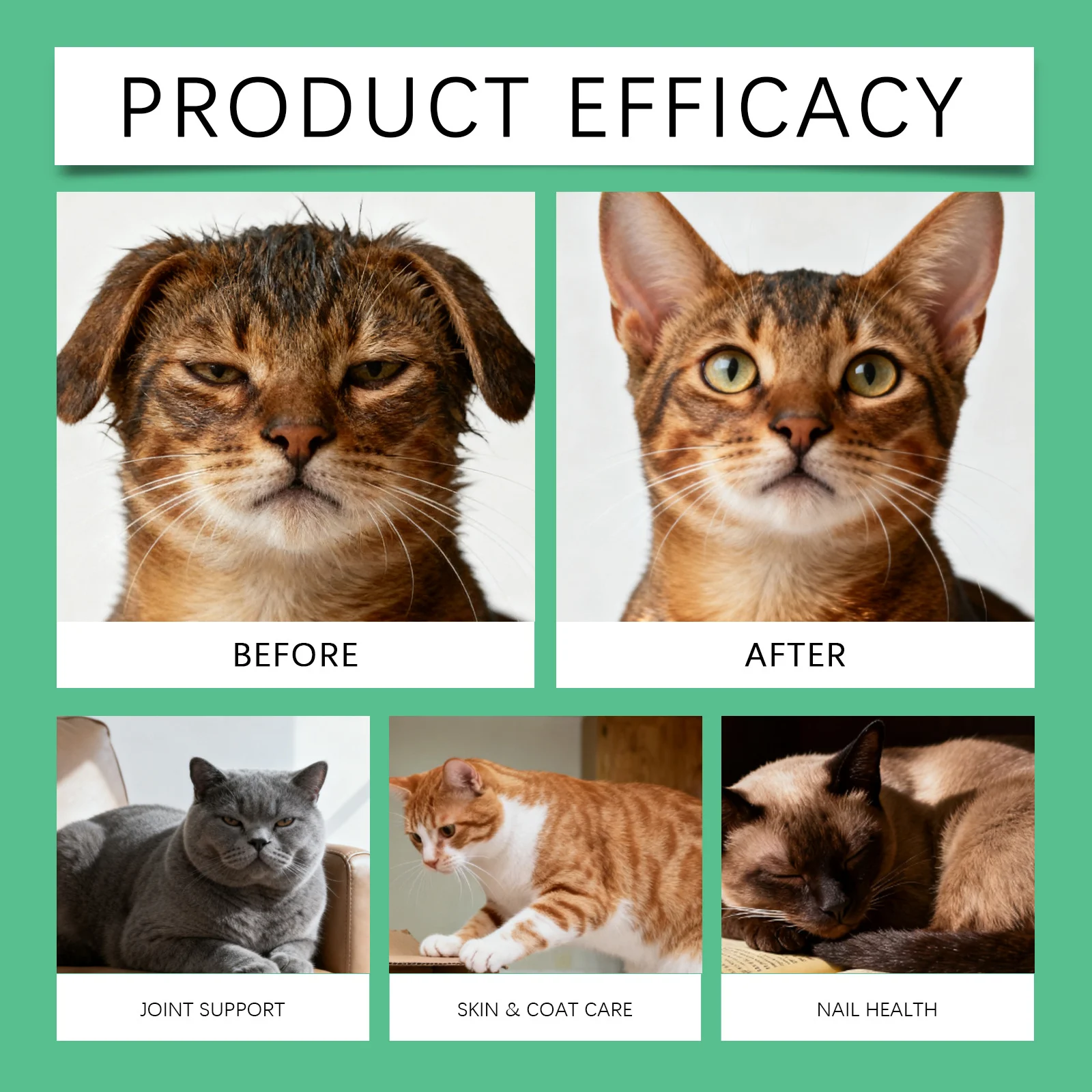 Cat Immune and Urinary Supplement Drops - 60ml Liquid Formula 11 cat supplement drops spu990100830225 desc 11