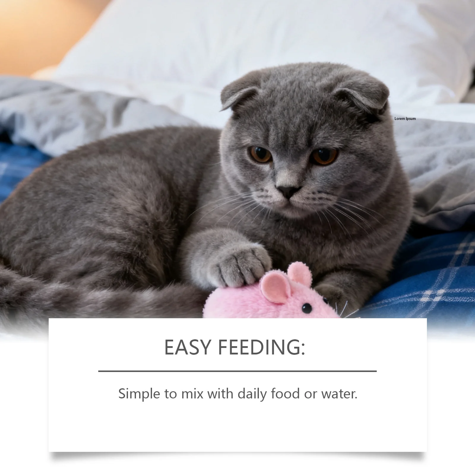 Cat Immune and Urinary Supplement Drops - 60ml Liquid Formula 6 cat supplement drops spu990100830225 desc 6