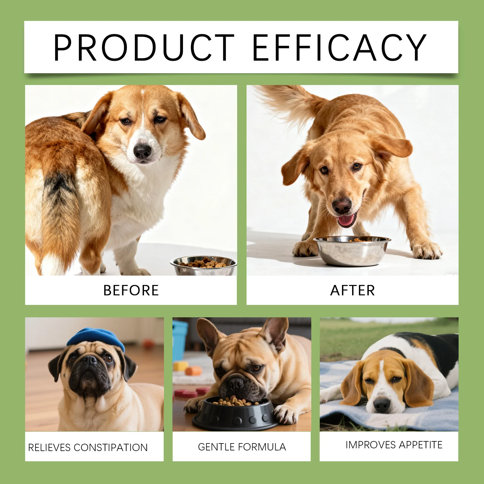 Herbal Dog Constipation Relief Liquid - Gentle Digestive Aid (60ml) 11 dog constipation relief liquid spu979562358994 desc 11