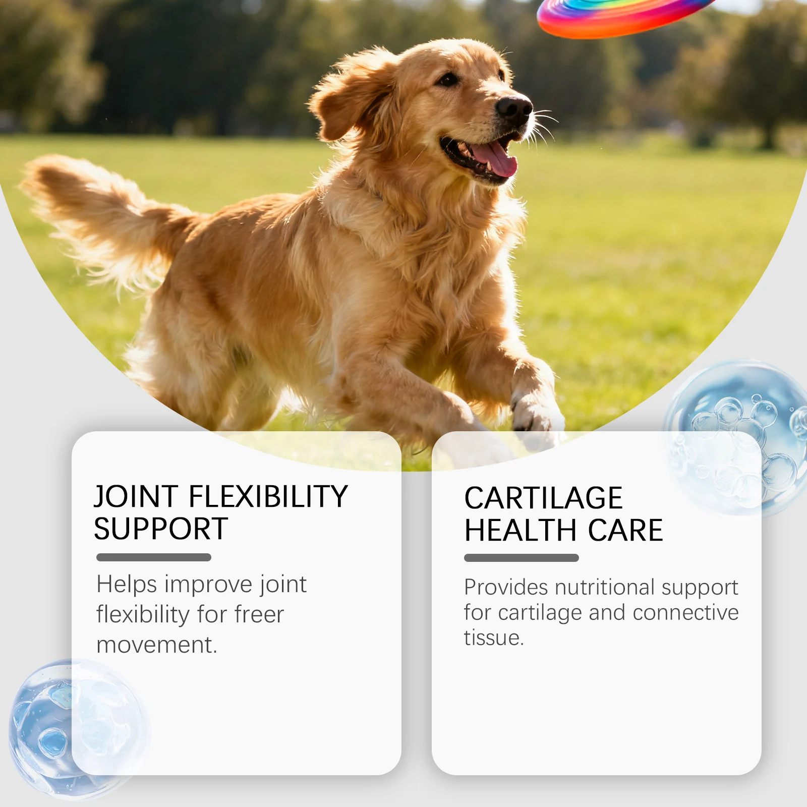 Honest Kriath Dog Joint Relief Granules Review: Does It Work? 2 Dog enjoying joint relief granules