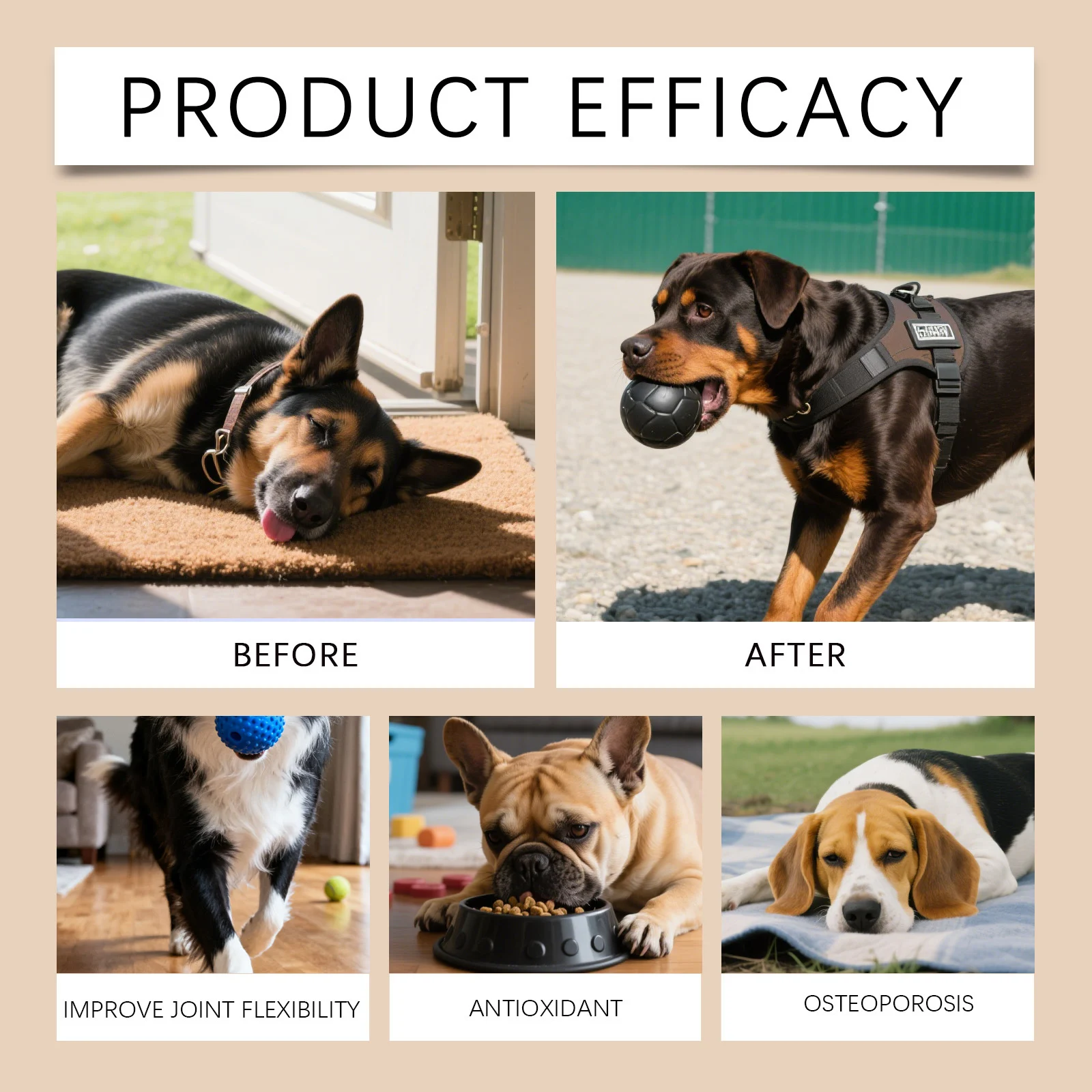 Dog Turmeric Soft Chews - Joint Support & Antioxidant Formula 11 dog turmeric soft chews joint support spu999000168360 desc 11