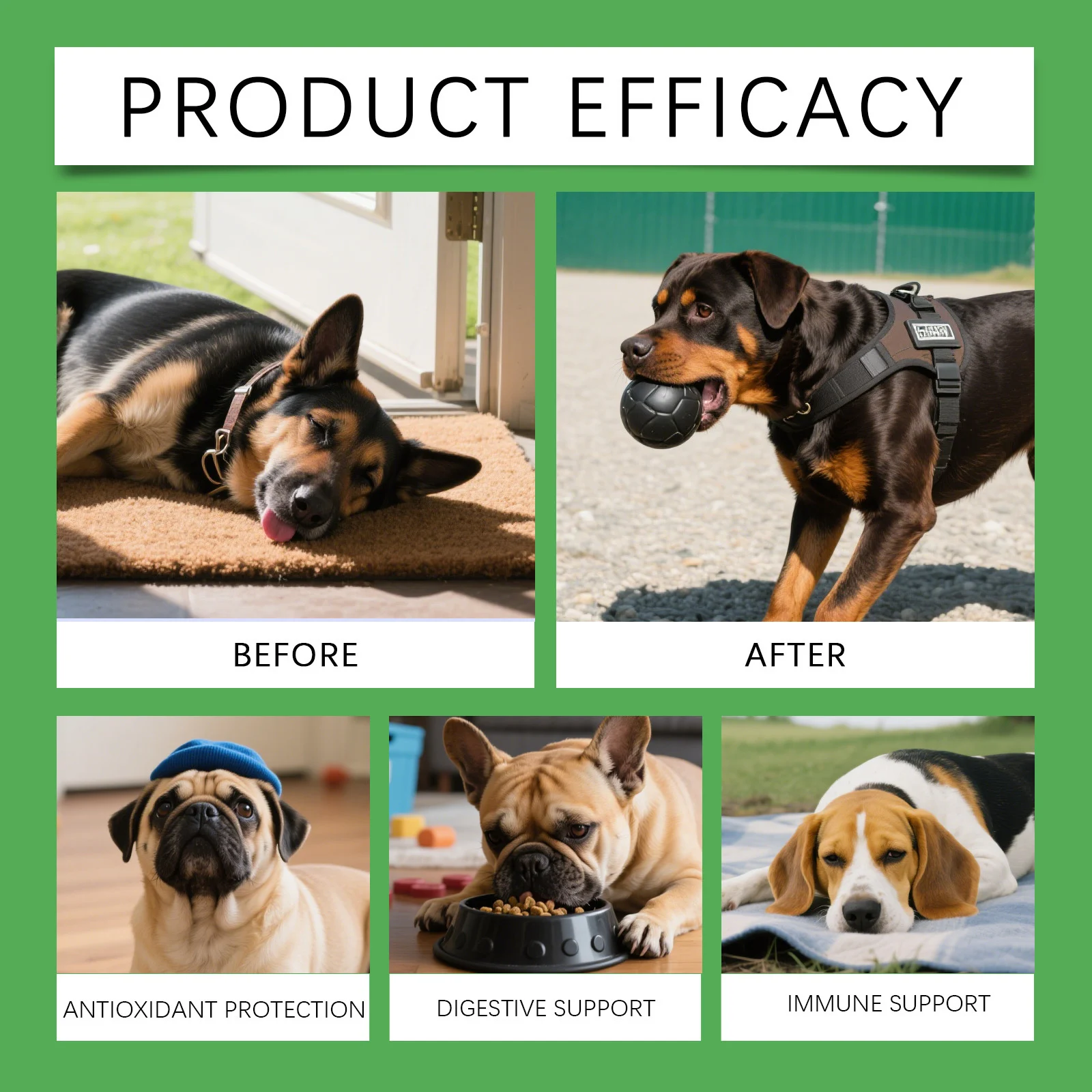 Herbal Supplement Drops for Dogs - Immune & Urinary Tract Support (60ml) 10 herbal dog supplement drops spu973735553307 desc 11