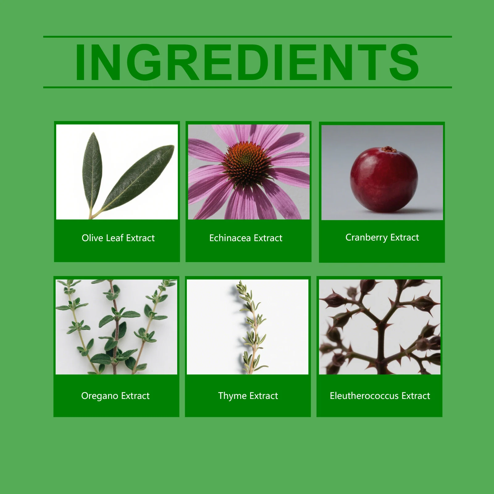Herbal Supplement Drops for Dogs - Immune & Urinary Tract Support (60ml) 3 herbal dog supplement drops spu973735553307 desc 3