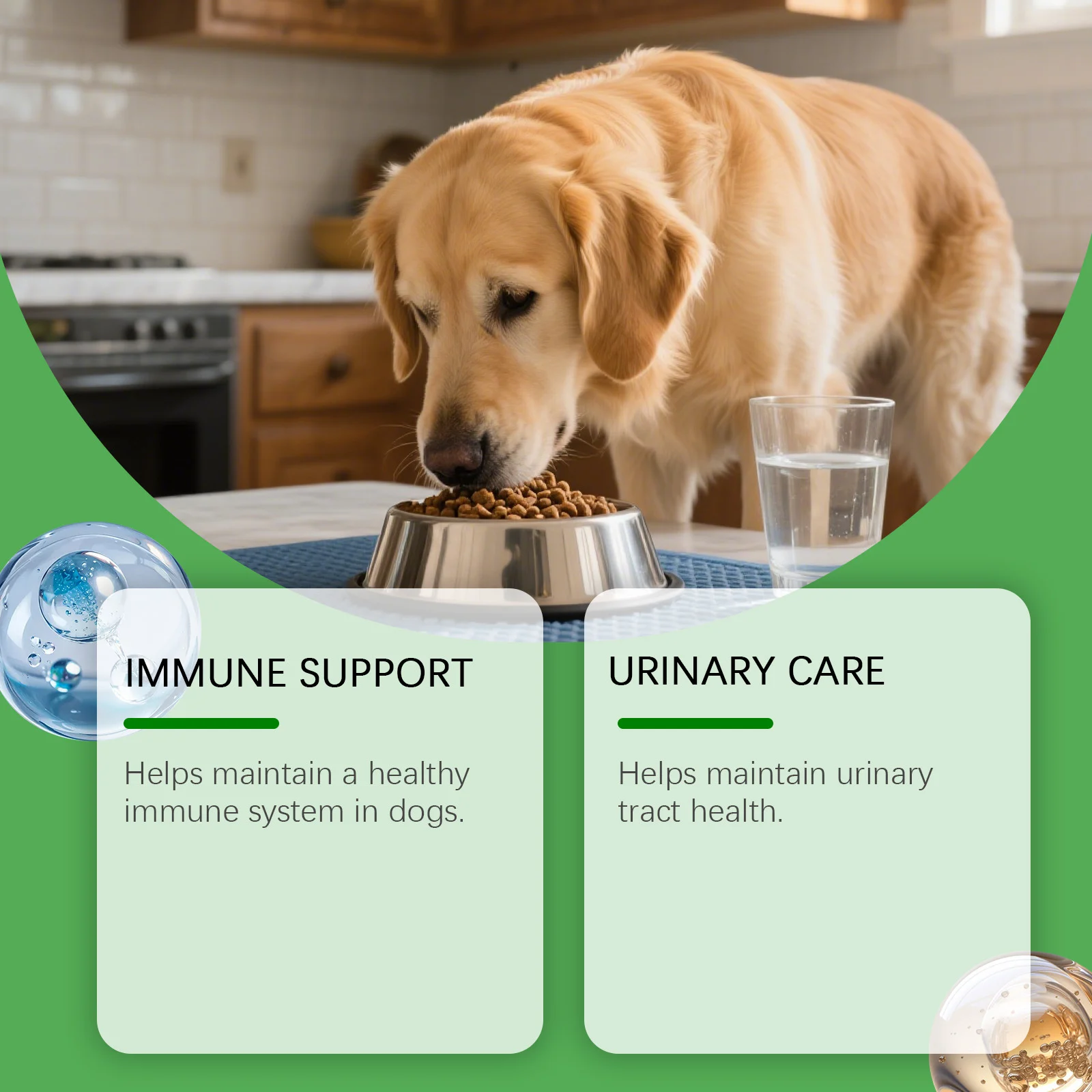 Herbal Supplement Drops for Dogs - Immune & Urinary Tract Support (60ml) 5 herbal dog supplement drops spu973735553307 desc 5