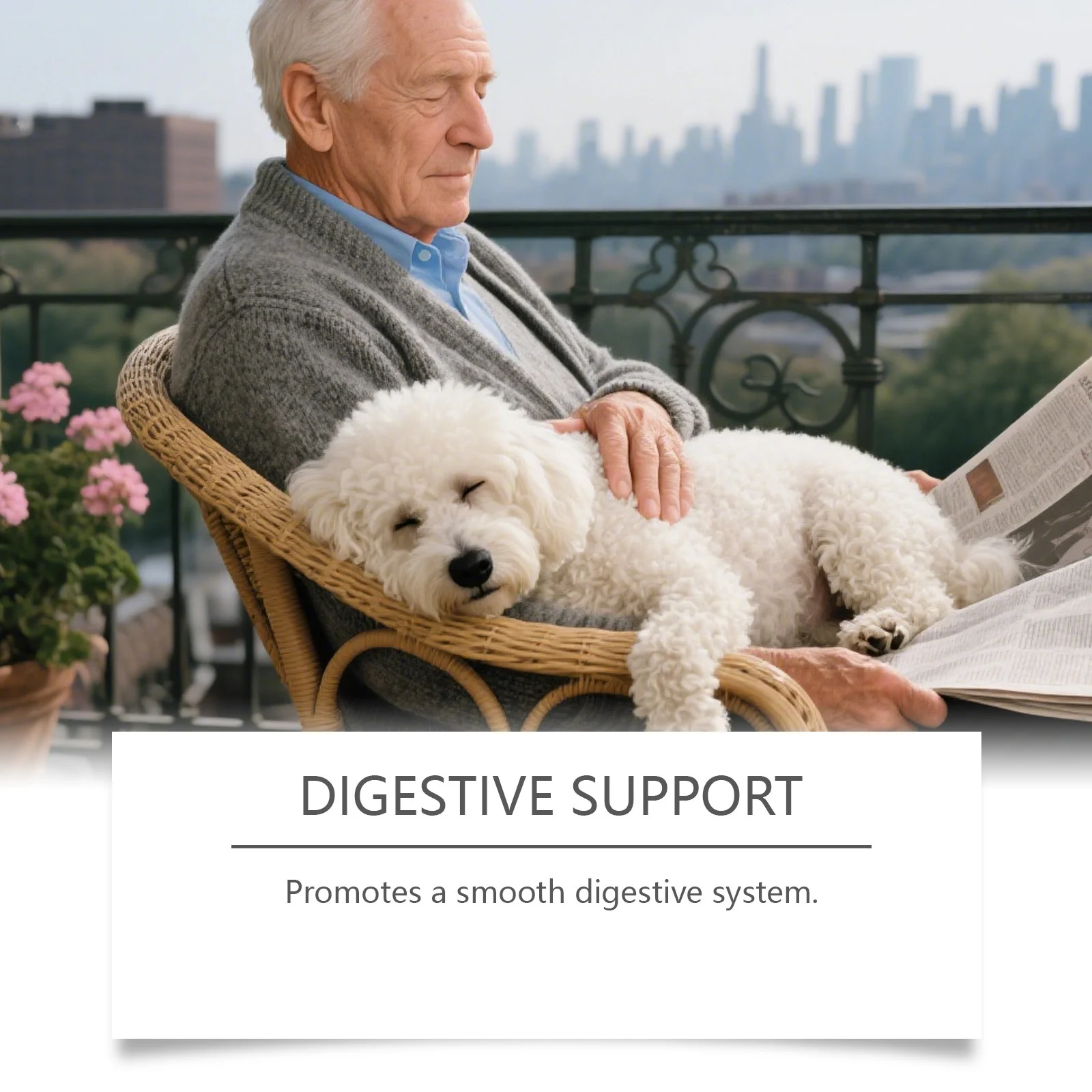 Herbal Supplement Drops for Dogs - Immune & Urinary Tract Support (60ml) 6 herbal dog supplement drops spu973735553307 desc 6