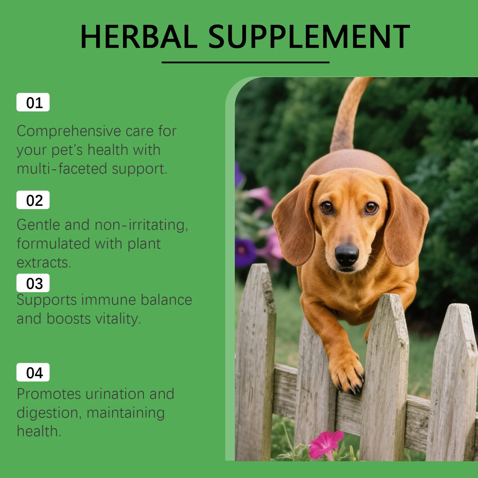 Herbal Supplement Drops for Dogs - Immune & Urinary Tract Support (60ml) 8 herbal dog supplement drops spu973735553307 desc 8
