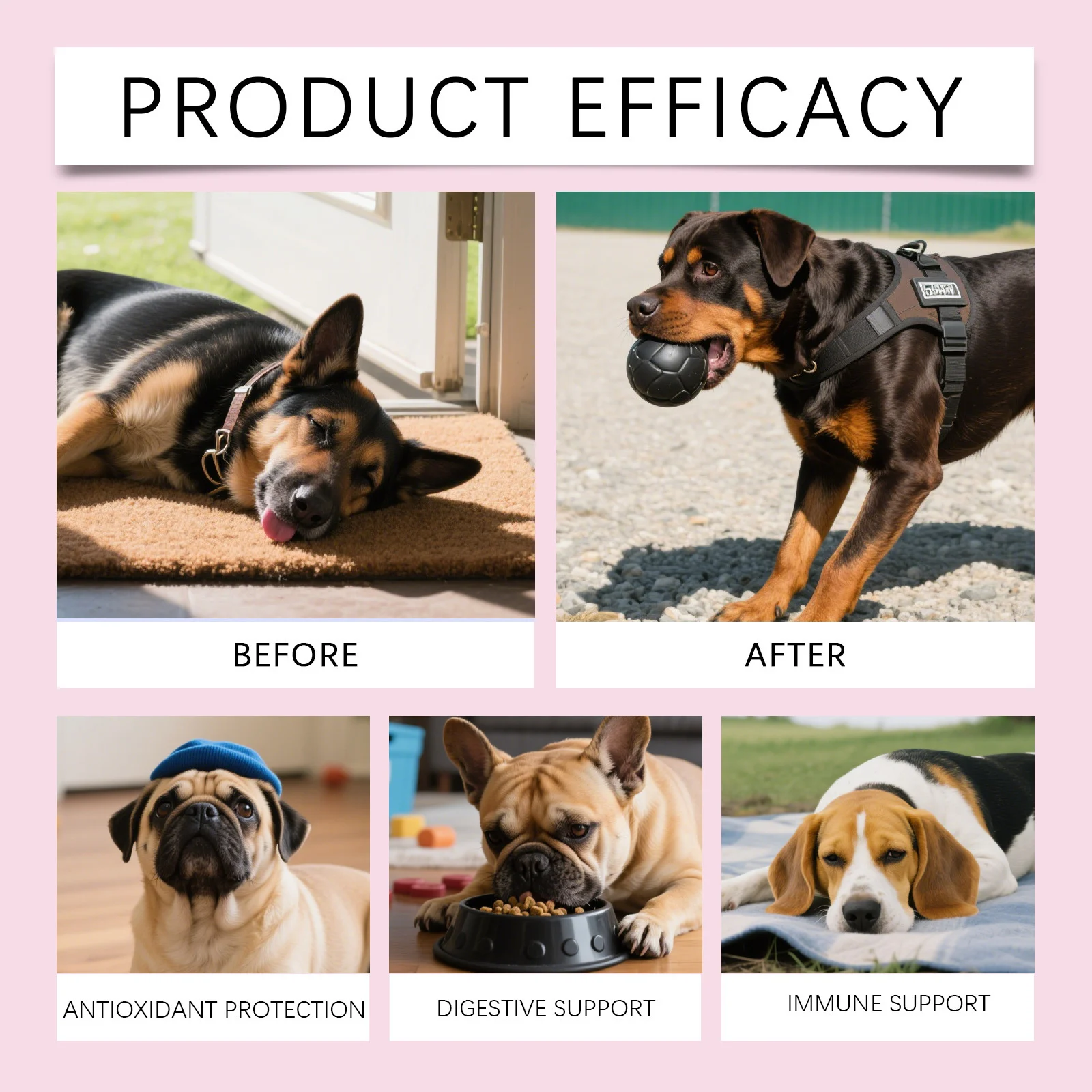 Grass-Fed Liquid Collagen Drops for Dogs - Joint, Skin & Coat Support 12 liquid collagen drops dogs spu988025947739 desc 12