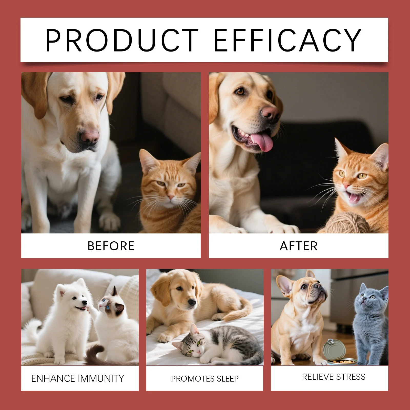 10-in-1 Multivitamin Liquid for Dogs and Cats - Joint & Immune Support 11 pet multivitamin liquid spu976102704600 desc 11