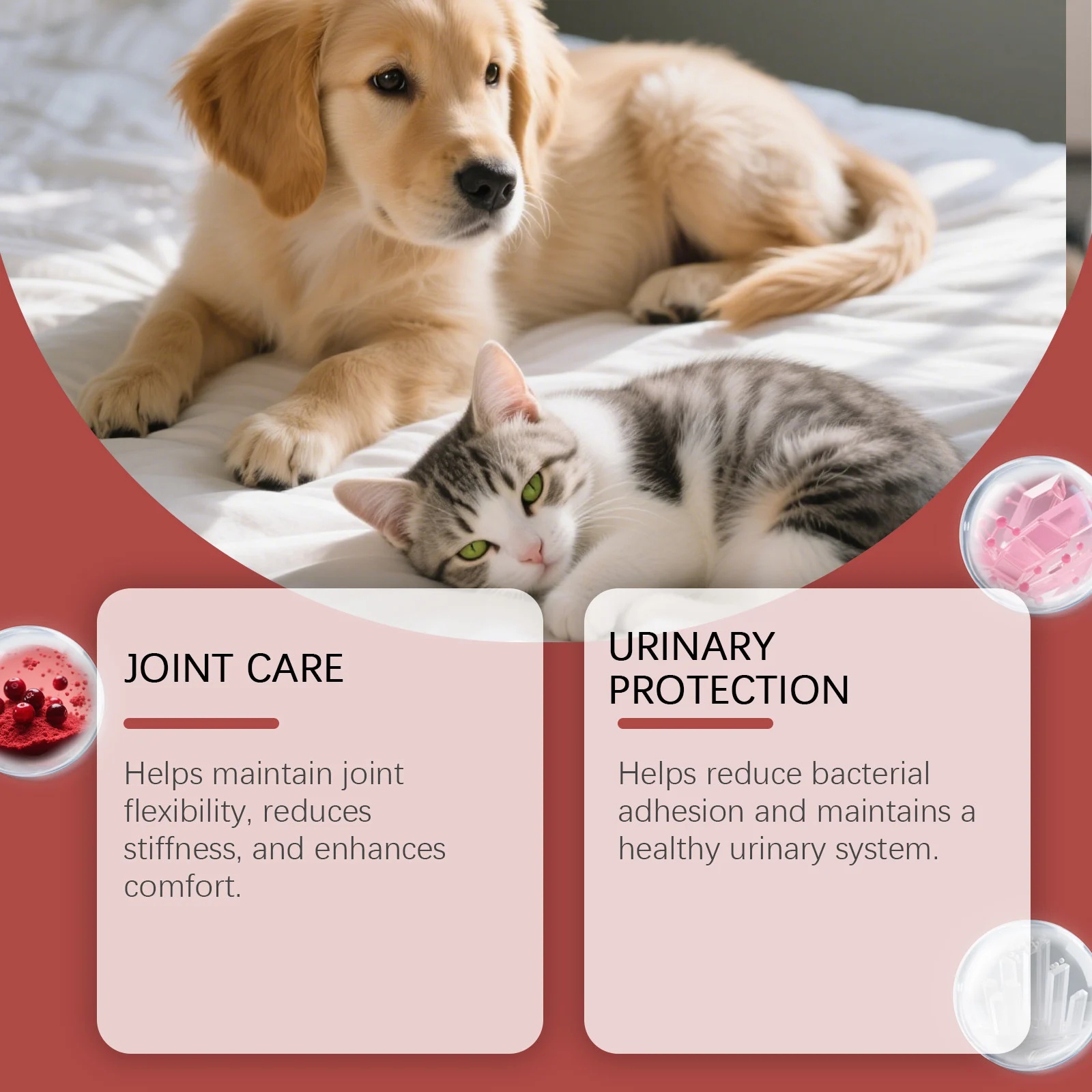 10-in-1 Multivitamin Liquid for Dogs and Cats - Joint & Immune Support 5 pet multivitamin liquid spu976102704600 desc 5