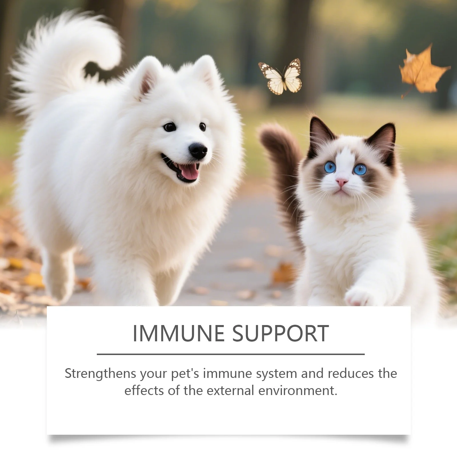 10-in-1 Multivitamin Liquid for Dogs and Cats - Joint & Immune Support 6 pet multivitamin liquid spu976102704600 desc 6